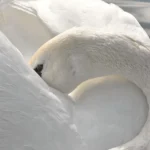 Badanie ścieków — które testy i testery wybrać?